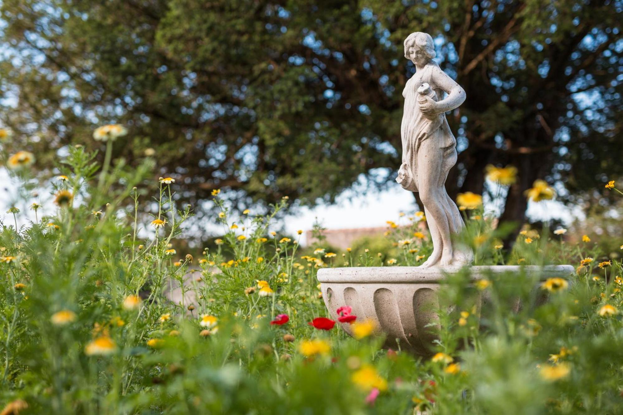 Chateau Montplaisir Charming B&B In Provence Valréas Exterior foto